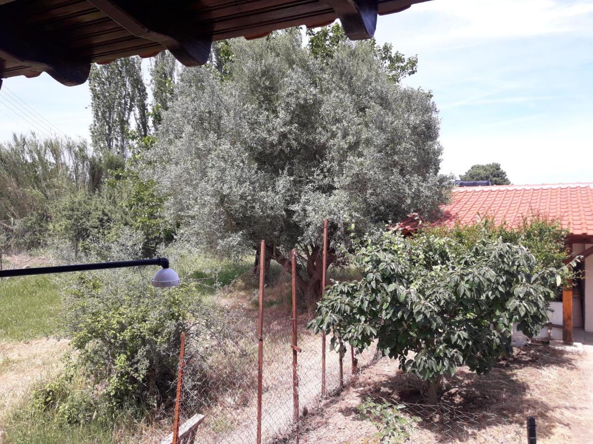 Olympian Garden Home Agios Nikolaos  Exterior foto